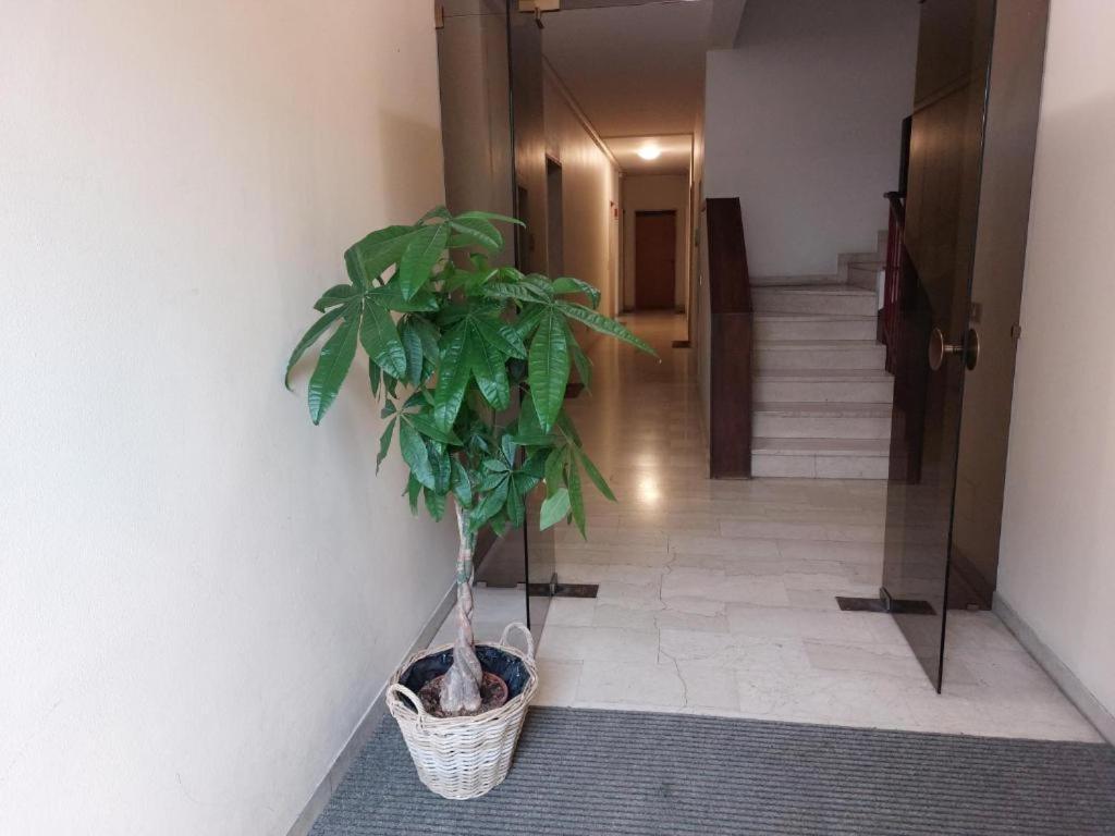 Apartamento In Blu Santo Ospedale Padua Exterior foto